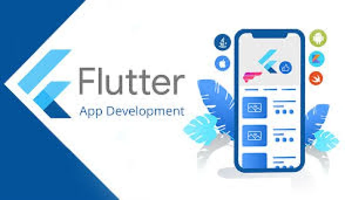 45 Days App Development Using Flutter